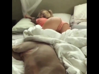 cute juicy gorgeous girl wriggles in bed with her dog, shamelessly twirls her elastic booty, not porn